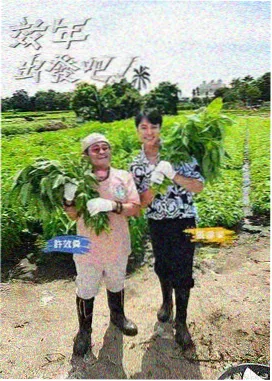 达达兔免费追剧大全在线观看 华南湾区短片湾 区域导览配图